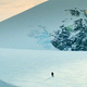 Image for article titled What's Missing From Edward Norton's Incredible Hulk?